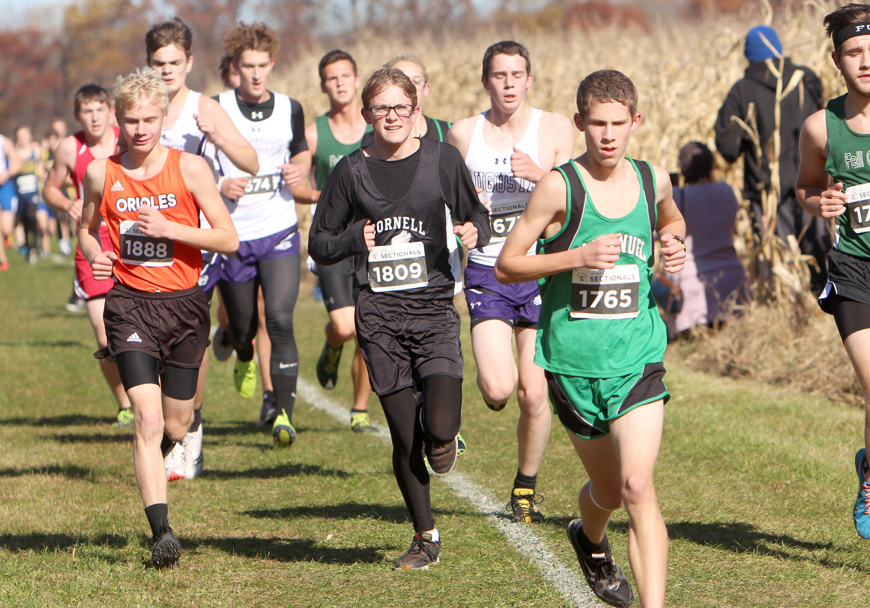 Division 3 Cross Country Sectionals in Boyceville 10-26-19